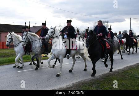 Les propriétaires et éleveurs de chevaux Lipizzan vêtus d'une tenue traditionnelle participent à l'équitation du Carnaval, dans le village d'Oprisavci près de Brod Slavonski, dans le comté de Brod-Postavina, en Croatie, sur 05 février 2023. Photo: Ivica Galovic/PIXSELL Banque D'Images