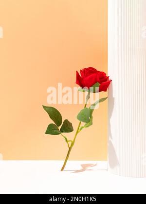 Composition de la Saint-Valentin avec fleur de rose rouge sur fond blanc et orange pastel. Adapté à l'affichage des produits et au concept commercial. aest moderne Banque D'Images