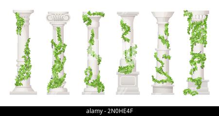 Colonnes Ivy. Piliers de marbre ou ancienne colonne en pierre avec vignes florales, feuille verte pour la décoration de mariage grec bâtiment trellis antique podium romain, illustration vectorielle de l'architecture de pilier de marbre Illustration de Vecteur