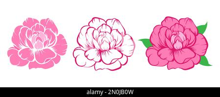 Ensemble d'éléments de fleurs de pivoine Vector isolé sur fond blanc. Pivoine, fleurs de rose et feuilles. Éléments de conception romantique pour cartes de vœux, cosmétiques, Illustration de Vecteur