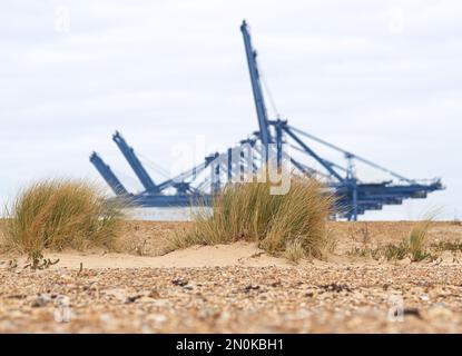 Herbe marrame avec grues de quai au loin à Felixstowe Beach, Royaume-Uni Banque D'Images