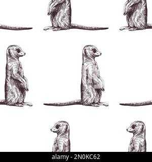 Motif sans couture de style d'esquisse dessiné à la main Meerkats isolé sur fond blanc. Illustration vectorielle. Illustration de Vecteur