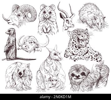 Ensemble de croquis dessinés à la main animaux style isolé sur fond blanc. Vector illustration. Illustration de Vecteur