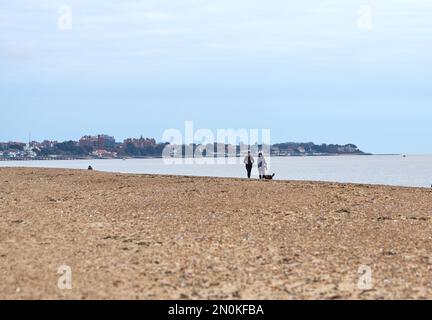 Randonneurs de chiens sur une plage de galets à Felixstowe, Suffolk, Royaume-Uni Banque D'Images