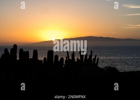 Coucher de soleil sur Gomera, îles Canaries, avec cactus en premier plan et l'île en arrière-plan Banque D'Images