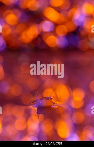 La goutte tombe dans un liquide dense avec un fond orange. Arrière-plan abstrait et coloré Banque D'Images