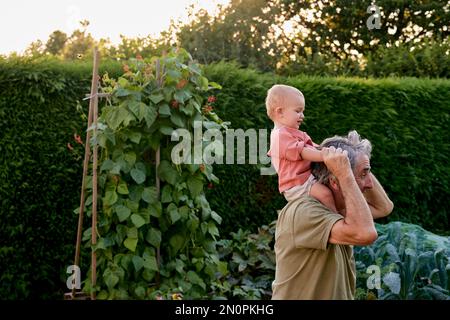 Grand-père transportant un tout-petit sur les épaules marchant dans le jardin Banque D'Images