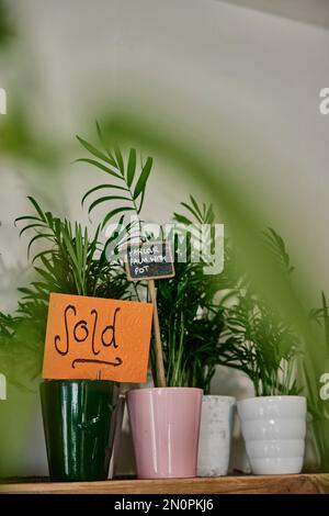 Pot plantes à vendre dans la boutique d'usine, une montrant un signe vendu Banque D'Images