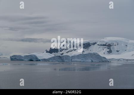 Île de Cuverville dans la péninsule Antarctique Banque D'Images