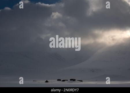 Huttes de montagne suédoises Salka sur la piste de ski de Kungsleden pendant la saison d'hiver au coucher du soleil, Laponie, Suède Banque D'Images