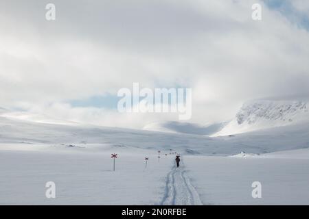 Un skieur solitaire sur la route d'hiver en direction de Tjaktja Mountain Hut sur le sentier de Kungsleden, Laponie, Suède Banque D'Images
