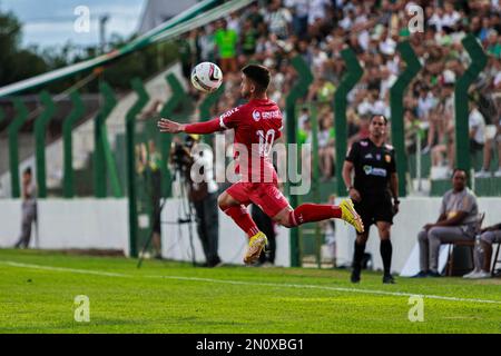 Santa Cruz do Sul, Brésil. 05th févr. 2023. RS - Santa Cruz do Sul - 02/05/2023 - GAUCHO 2023, AVENIDA X SAO LUIZ - joueur de Laion de Sao Luiz-RS lors d'un match contre l'Avenida au stade Eucaliptos pour le championnat Gaucho 2023. Photo: Vinicius Molz Schubert/AGIF/Sipa USA crédit: SIPA USA/Alay Live News Banque D'Images