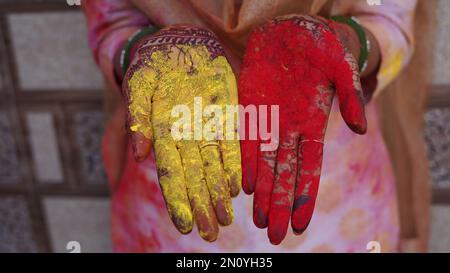 Holi, festival de la couleur, Une femme fille dame portant des bracelets de cueillette de la poudre organique sèche couleur ou couleur ou gulal. Banque D'Images