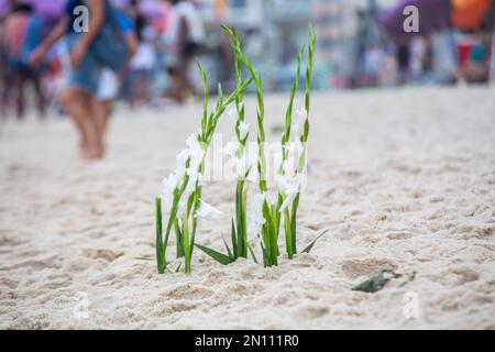 fleurs en l'honneur d'iemanja, lors d'une fête à la plage de copacabana. Banque D'Images