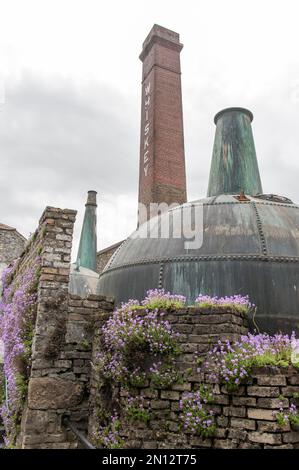 Ancienne distillerie de wkiskey historique, cheminée et grande STILL, Locke's Distillery Museum, ville de whisky de Kilbeggan, comté de Westmeath, Irlande, Europe Banque D'Images