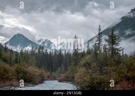 Brume matinale au-dessus des forêts d'épicéa dans les montagnes et la rivière enveloppe les sommets de rochers avec des glaciers et de la neige dans les nuages orageux dans l'Altaï. Banque D'Images