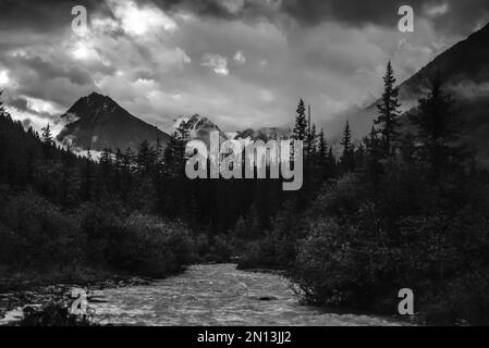 Le brouillard photo noir et blanc au-dessus d'une forêt d'épicéa à l'ombre des montagnes et la rivière Shavla enveloppe les sommets de rochers avec des glaciers et de la neige Banque D'Images