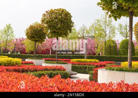 Parc de la ville de Krasnodar ou parc Galitsky. Aménagement paysager. Banque D'Images