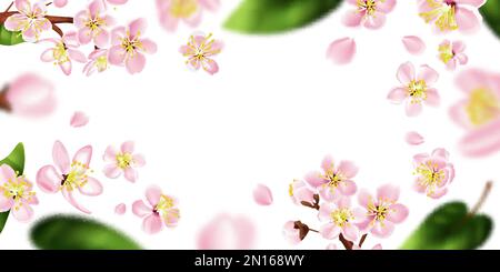 Cadre de branche d'arbre de fruits avec fleurs blanches illustration vectorielle réaliste Illustration de Vecteur