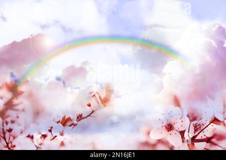 Un monde fantastique. Bel arc-en-ciel dans le ciel avec des nuages moelleux sur un cerisier en fleur Banque D'Images