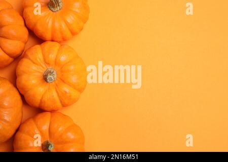 Citrouilles fraîches et mûres sur fond orange, étales plates. Espace pour le texte Banque D'Images