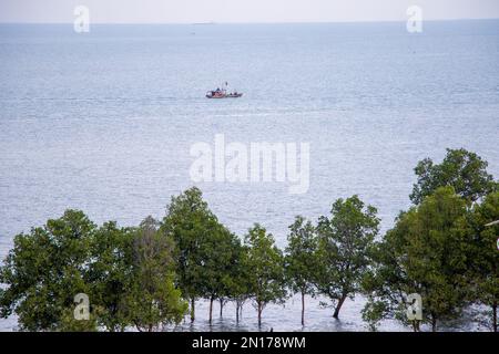 Marais de mangrove à Tg Balai Karimun dans un hôtel. Prise du sommet Banque D'Images