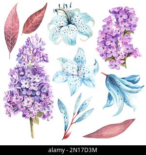 Ensemble de fleurs printanières sur fond blanc. Illustration aquarelle. Banque D'Images