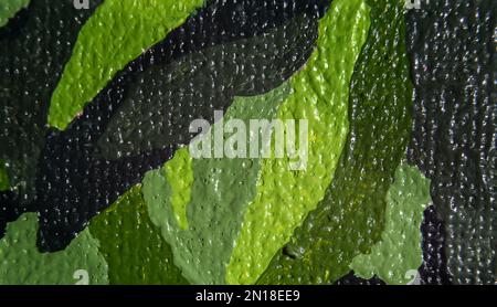 Gros plan des traits de peinture sur la toile. Photo macro d'une partie de l'image. Banque D'Images