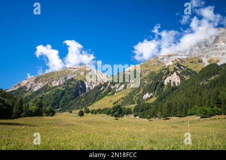 Paysage de montagne et de pâturages à Pralognan la Vanoise. alpes françaises Banque D'Images