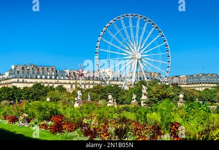 Grande roue au jardin des Tuileries dans le centre de Paris, France Banque D'Images