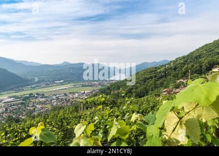 Lac de Lugano avec vignobles, aéroport de Lugano et ville d'Agno, Suisse Banque D'Images