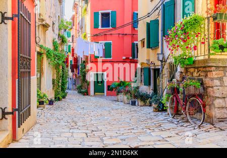 Rovinj, Croatie. Rue pavée à l'intérieur de la vieille ville. Istrie. Banque D'Images