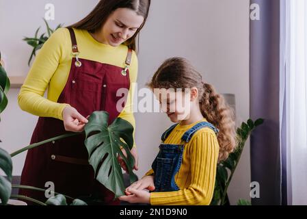 Charmante jeune mère avec adorable petite fille nettoie les plantes d'intérieur, prend soin des feuilles vertes monstera. Jardinage, femme au foyer et travaux ménagers Banque D'Images