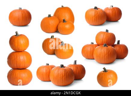 Ensemble de citrouilles orange fraîches sur fond blanc Banque D'Images