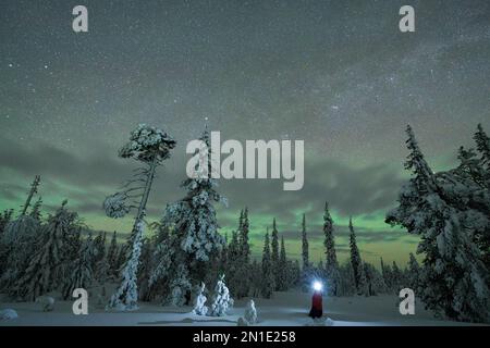 Randonneur avec phare en admirant les aurores boréales (Aurora Borealis) debout dans la forêt enneigée de Kangos, comté de Norrbotten, Laponie, Suède Banque D'Images