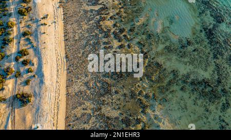 Antenne des stromatolites de Hamelin Pool, Shark Bay, site classé au patrimoine mondial de l'UNESCO, Australie occidentale, Australie, Pacifique Banque D'Images
