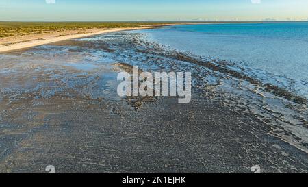 Antenne des stromatolites de Hamelin Pool, Shark Bay, site classé au patrimoine mondial de l'UNESCO, Australie occidentale, Australie, Pacifique Banque D'Images