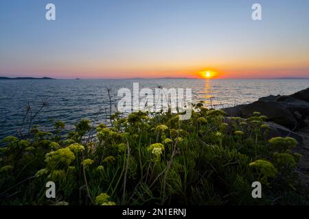 Cala Civetta au coucher du soleil, Punta Ala, Toscane, Italie, Europe Banque D'Images