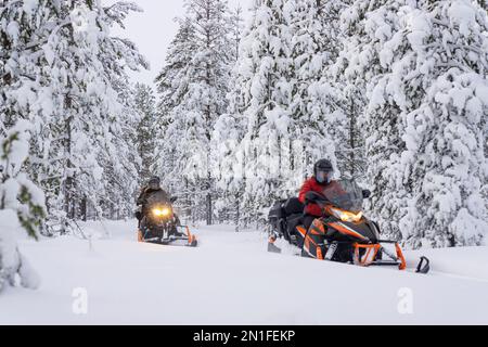 Excursion en motoneige dans la forêt enneigée, Laponie, Suède, Scandinavie, Europe Banque D'Images