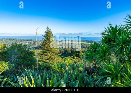 Vue sur Norfolk Island, Australie, Pacifique Banque D'Images