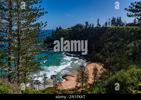 Vue sur Anson Bay, Norfolk Island, Australie, Pacifique Banque D'Images