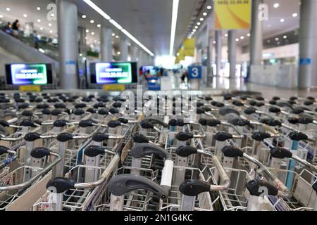Chariots à bagages dans la zone des arrivées, aéroport international, Ho Chi Minh ville, Vietnam, Indochina, Asie du Sud-est, Asie Banque D'Images