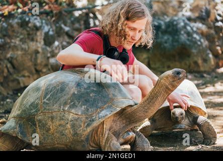 Un garçon touristique souriant qui pille les espèces endémiques de la tortue géante d'Aldabra - l'une des plus grandes tortues au monde dans le parc naturel du zoo sur l'île Maurice. Banque D'Images