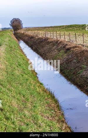 Lincolnshire - Un fossé de drainage d'eau bien entretenu, ou drain, sur le bord du champ d'un fermier Banque D'Images