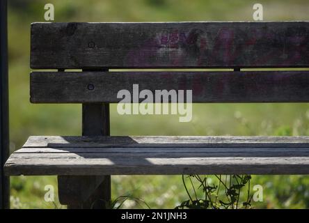 Banc en bois antique dans le parc. Banque D'Images