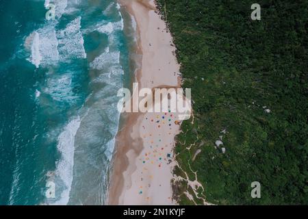 Der Strand Praia da Galheta von oben fotografiert. Viele Sonnenschirme direkt am Meer und daneben Tropischer Wald. Banque D'Images