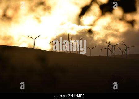 Vue à distance des éoliennes sur Hillside silhoueted contre un ciel d'or spectaculaire avec Sun Shining à travers les nuages à Mid-Wales, Royaume-Uni en novembre Banque D'Images