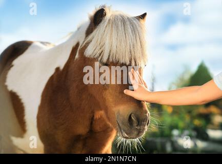 Un petit enfant en plein air, en gros plan, se portant un adorable poney Banque D'Images