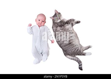 Un petit garçon est couché à côté d'un grand chat, isolé sur un fond blanc. Un nouveau-né près d'un animal de compagnie. Enfant âgé de deux mois Banque D'Images