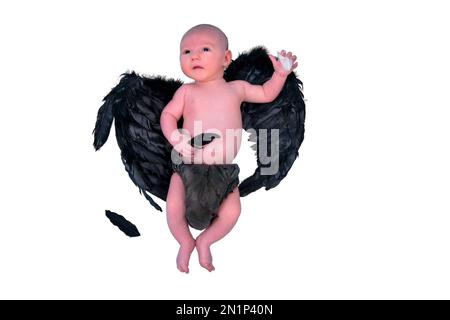 Un nouveau-né avec des ailes de démon noires, isolé sur un fond blanc. Un enfant de race blanche dans une couche âgée d'un mois Banque D'Images